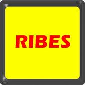 RIBES profile picture