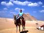 Omar Egypti profile picture