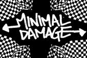 Minimal Damage [On Hold] profile picture