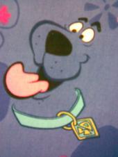 Scooby Doo profile picture