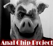 ANAL CHIP PROJECT profile picture