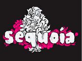 Sequoia profile picture