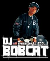 DJ BOBCAT profile picture