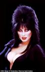 Elvira profile picture