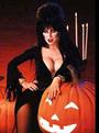 Elvira profile picture