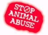 HELP STOP ANIMAL CRUELTY profile picture