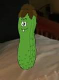 sHiT PiCkLe profile picture