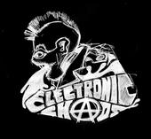 Electronic Chaos profile picture