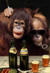 Drunkin Monkey profile picture