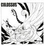 COLOSSUS profile picture