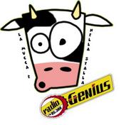 LA MUCCA E’ NELLA STALLA profile picture