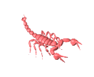 Scorps profile picture