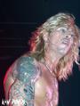 Duff McKagan profile picture