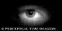 Â© Perceptual Time Imagery profile picture