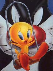 Tweety profile picture