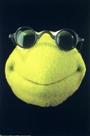 Kermit the Frog profile picture