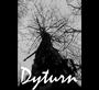 Dyturn profile picture