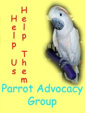 parrotadvocacygroup