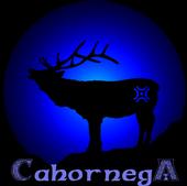 Cahornega profile picture