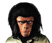 APE profile picture