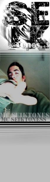 seiktones profile picture