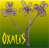 Oxalis profile picture