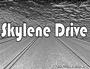 Skylene Drive profile picture