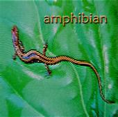 Amphibian profile picture