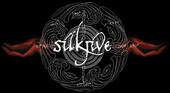 Silk Jive profile picture