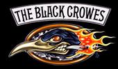 The Black Crowes profile picture