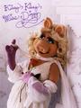 Miss Piggy profile picture