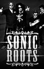 Sonic Roots profile picture