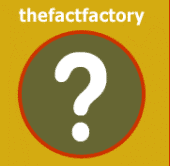 thefactfactory profile picture