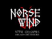 Norse Wind profile picture