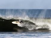 surfer2569