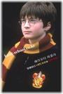 Harry Potter profile picture