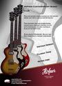 Hofner Guitars profile picture