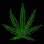 www.Always420Forum.com profile picture