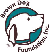 Brown Dog Foundation profile picture