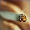 SMOKERS RIGHTS profile picture