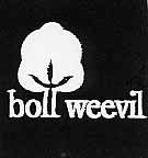 BollWeevil profile picture