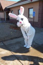 Im The Easter Bunny Biotch!!! profile picture