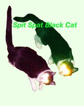 Spit Spat Black Cat profile picture