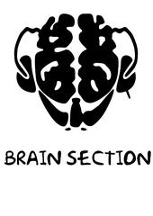 Brain Section profile picture