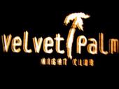 The Velvet Palm profile picture