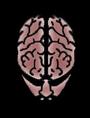 Brain Section profile picture