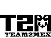 Team 2Mex profile picture