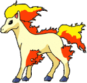 Ponyta profile picture