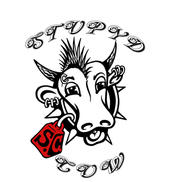 The Official Stupyd Cow Street Team profile picture