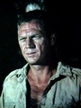 Steve McQueen profile picture